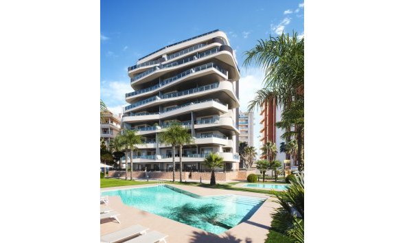 Apartment - New Build -
            Guardamar del Segura - NB-52201