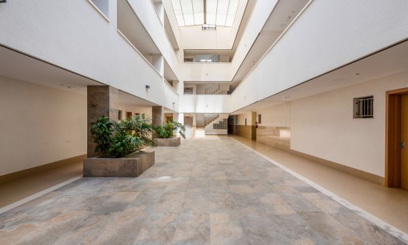 Apartment - Reventa - Bigastro -
                Inland