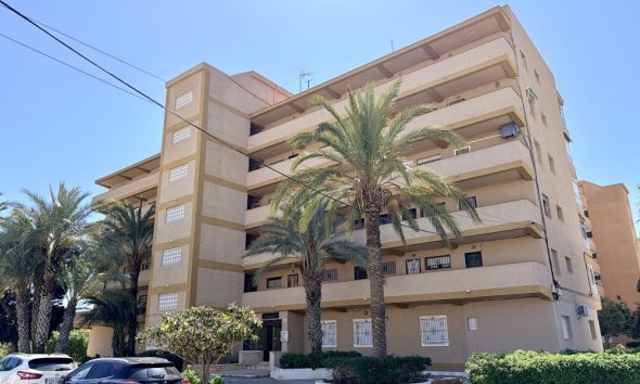 Apartment - Revente - Guardamar del Segura - Costa Blanca