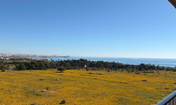 Apartment - Revente - Orihuela Costa - Costa Blanca