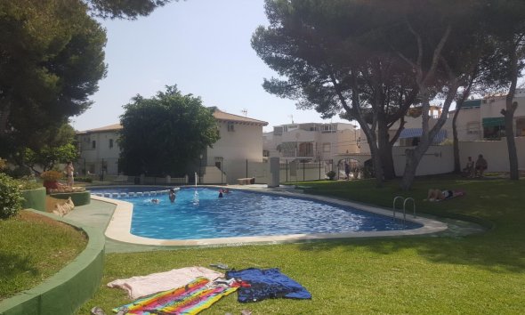 Bungalow - Revente - Torrevieja - Lago Jardin