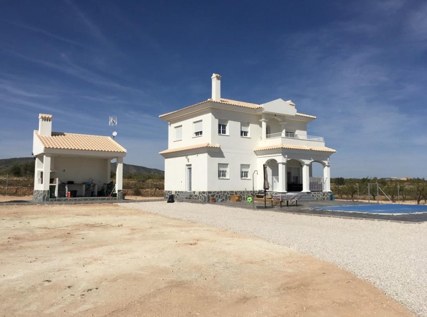 New Build - Villa -
Pinoso - Camino Del Prado