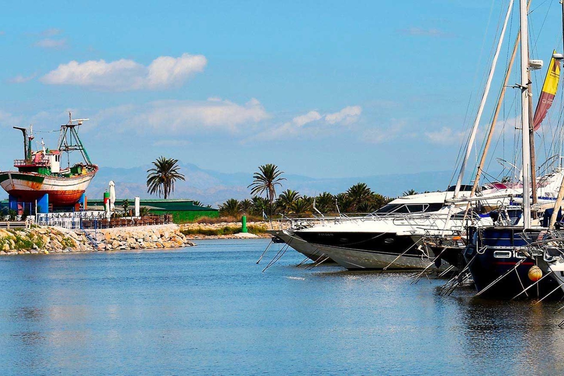 Nouvelle construction - Apartment -
Guardamar del Segura - Avda del Puerto