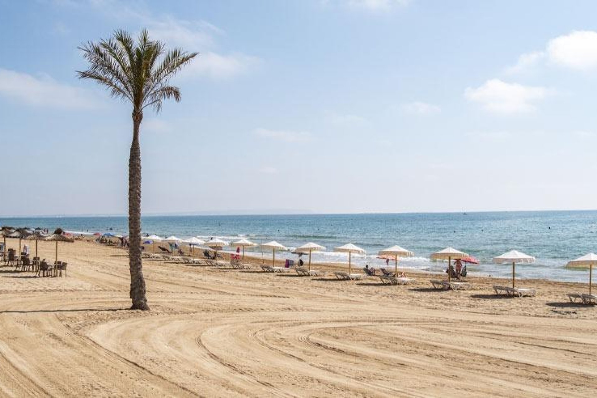 Nouvelle construction - Apartment -
Guardamar del Segura - Pueblo