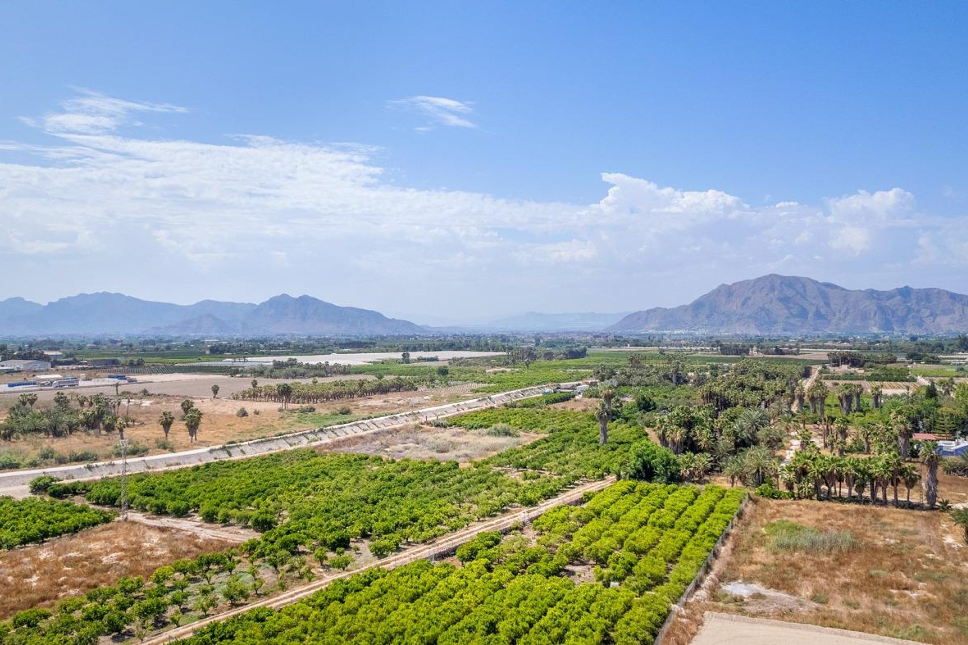 Nouvelle construction - Apartment -
Jacarilla - pueblo