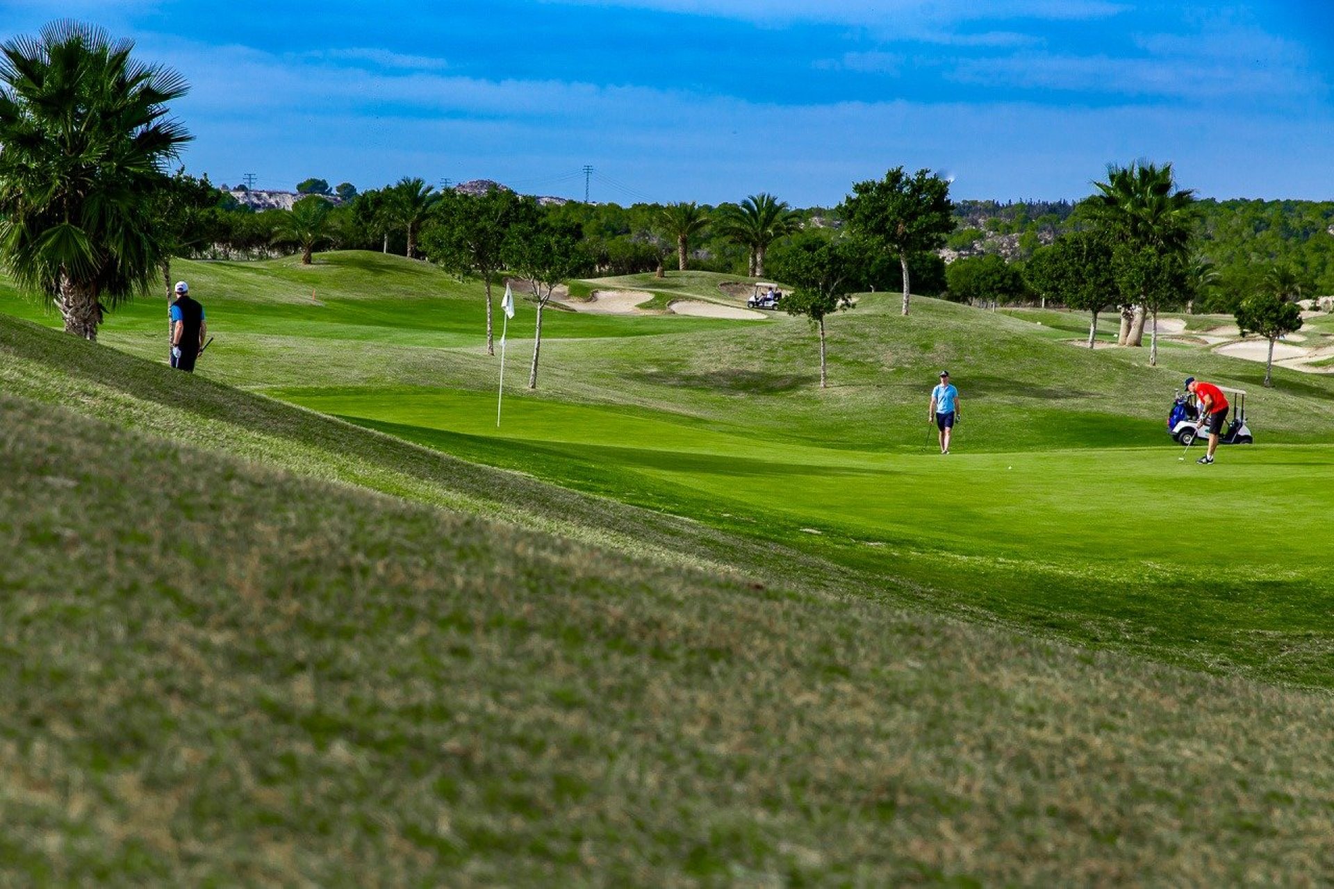 Nouvelle construction - Bungalow -
Orihuela - Vistabella Golf