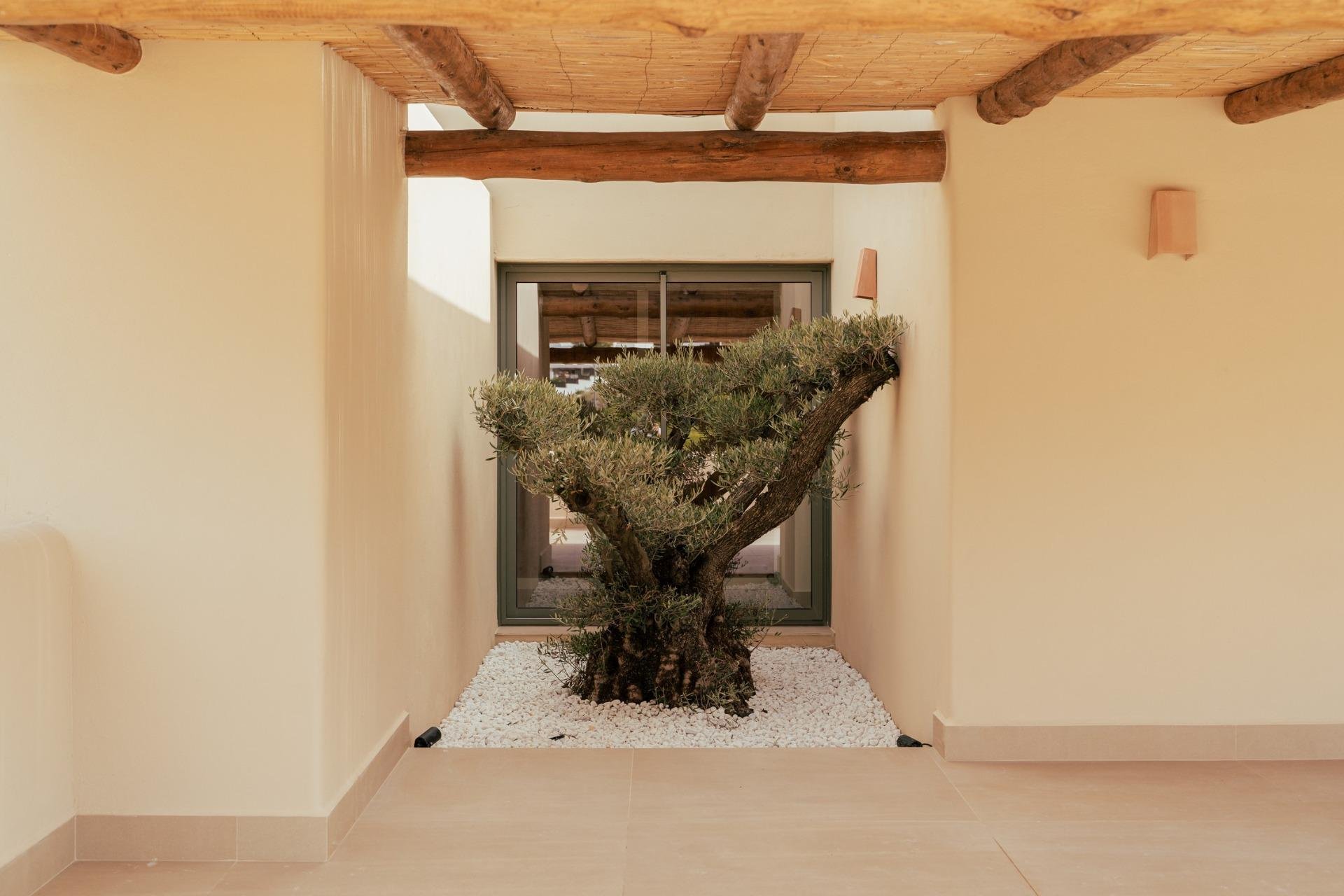 Nouvelle construction - Villa -
Jávea Xàbia - Valle del Sol