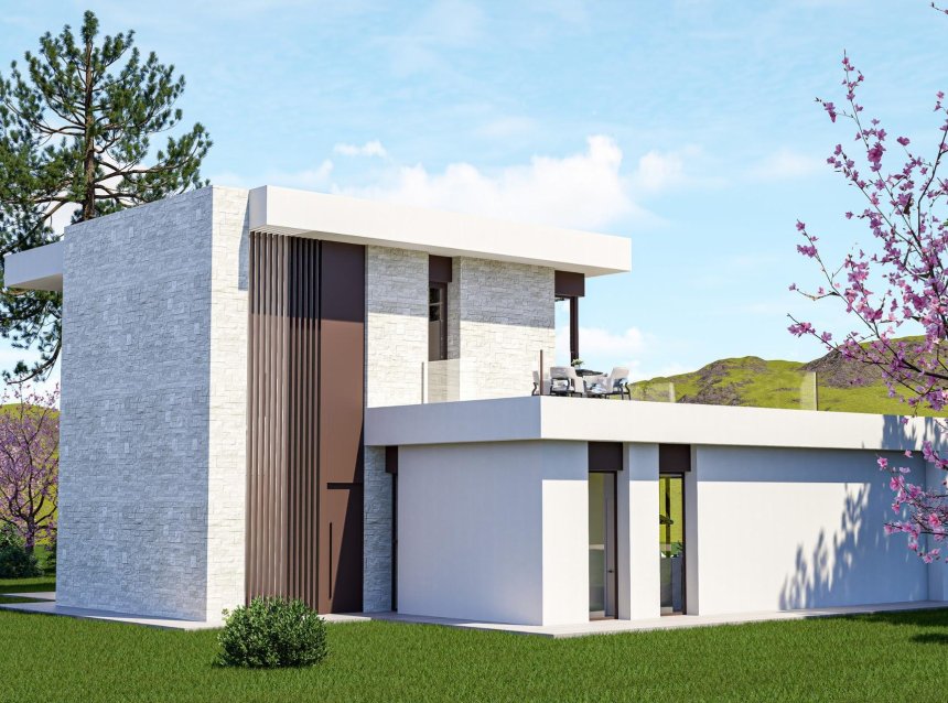 Nouvelle construction - Villa -
Pinoso - Lel