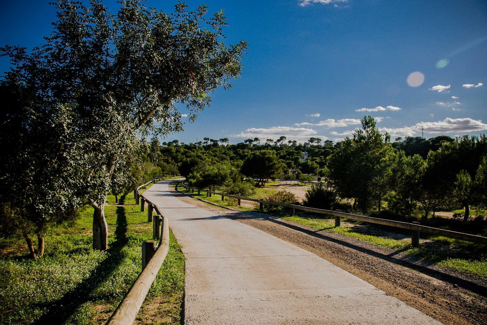 Nouvelle construction - Villa -
Rojales - Doña Pena