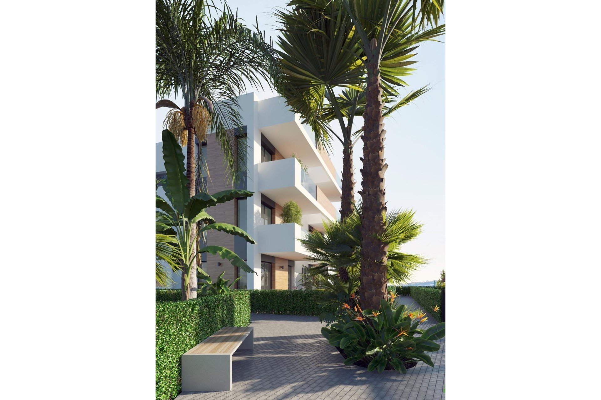 Obra nueva - Apartment -
Los Alcazares - Serena Golf