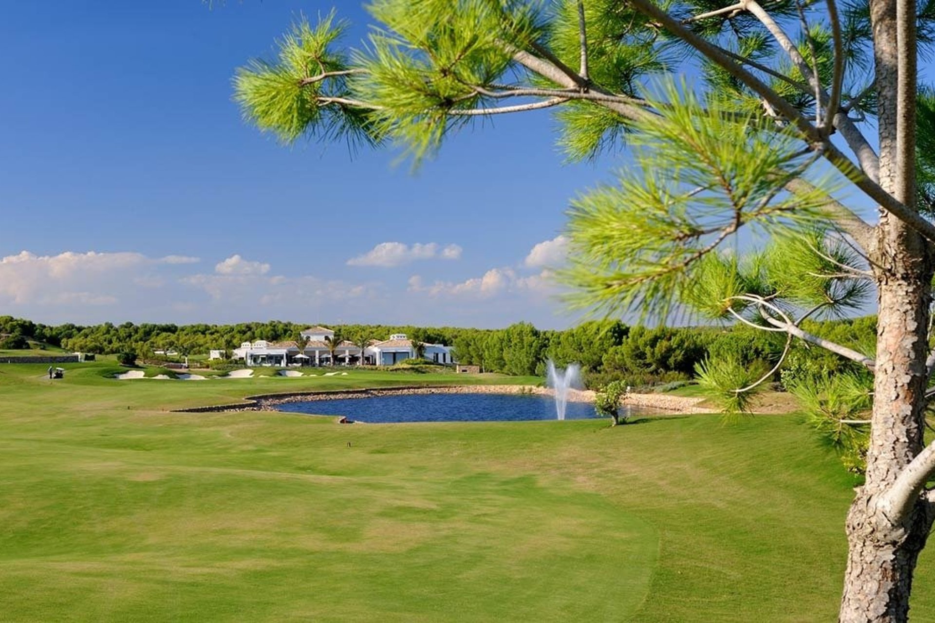 Obra nueva - Ático -
Orihuela - Las Colinas Golf