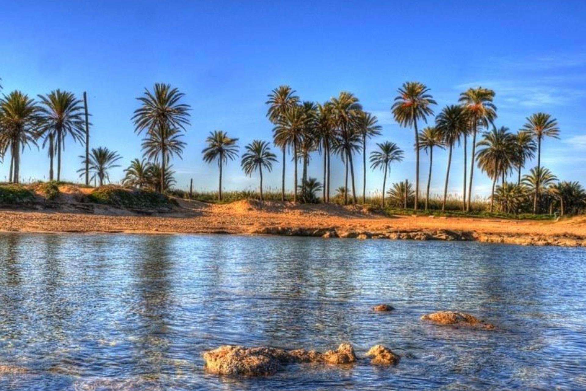 Obra nueva - Ático -
Torrevieja - Playa de El Cura