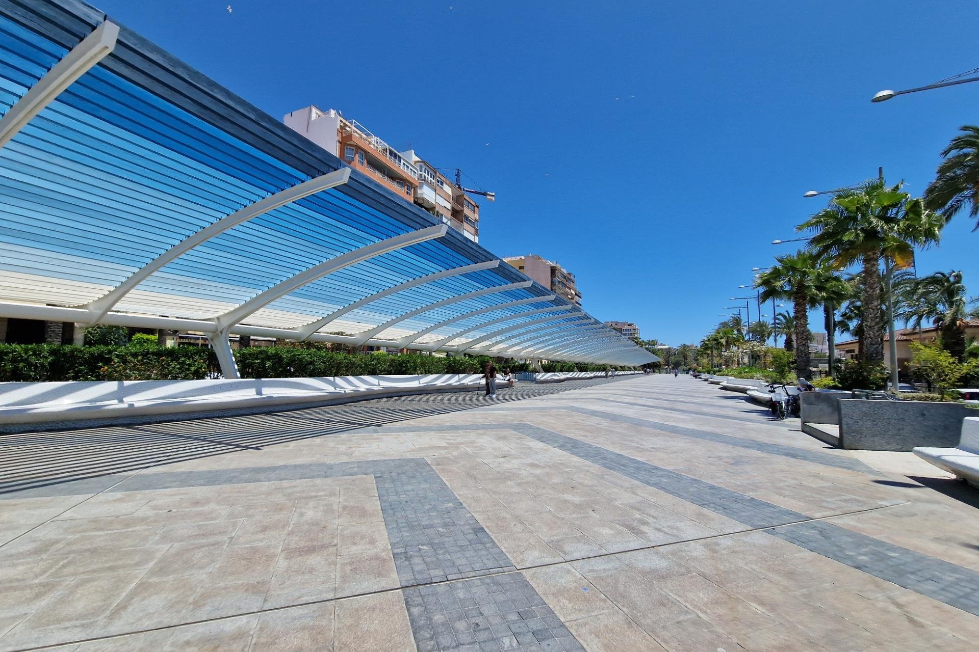 Obra nueva - Ático -
Torrevieja - Playa de los Locos