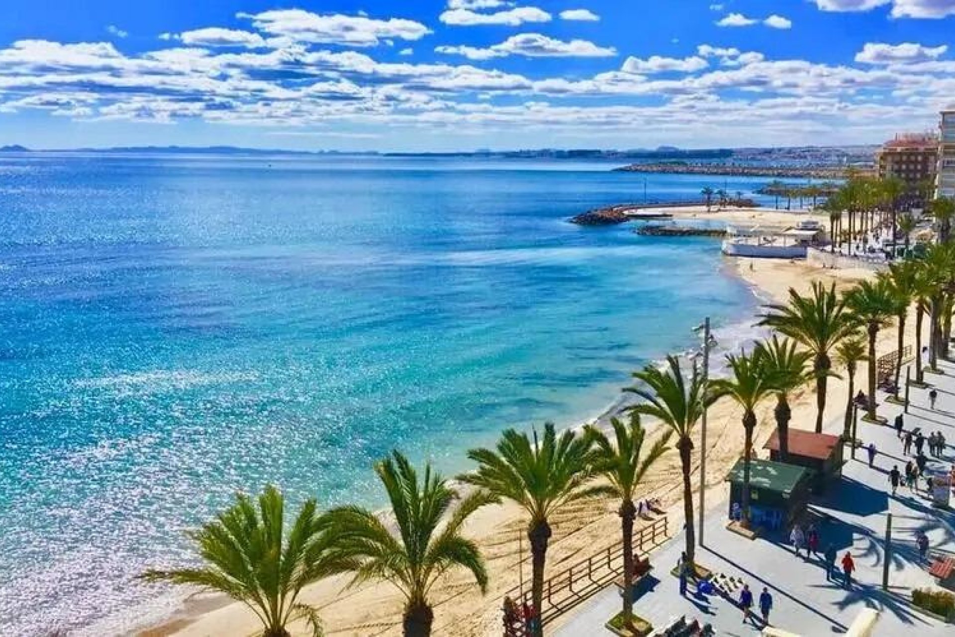 Obra nueva - Ático -
Torrevieja - Playa de los Locos