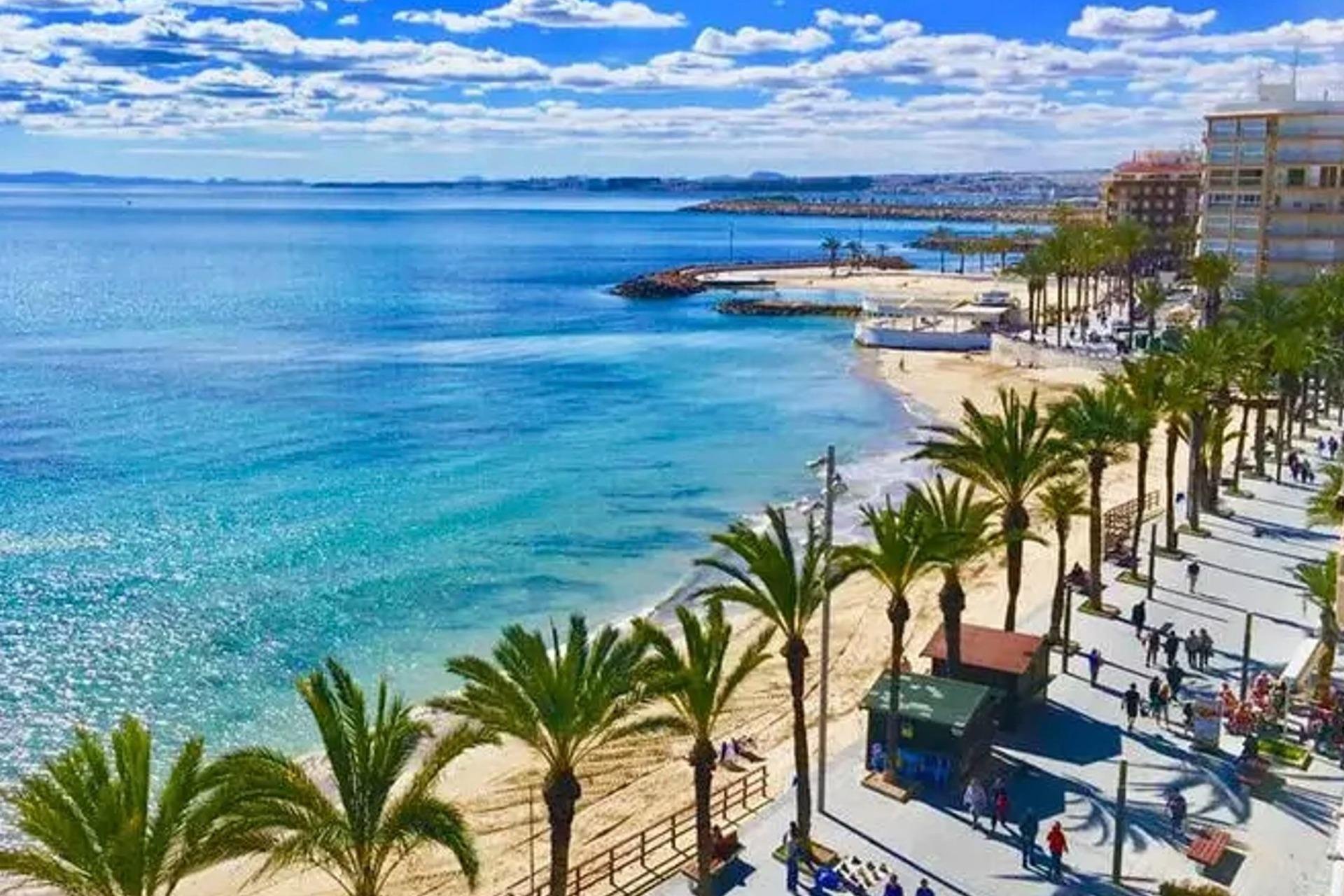 Obra nueva - Ático -
Torrevieja - Playa del Cura