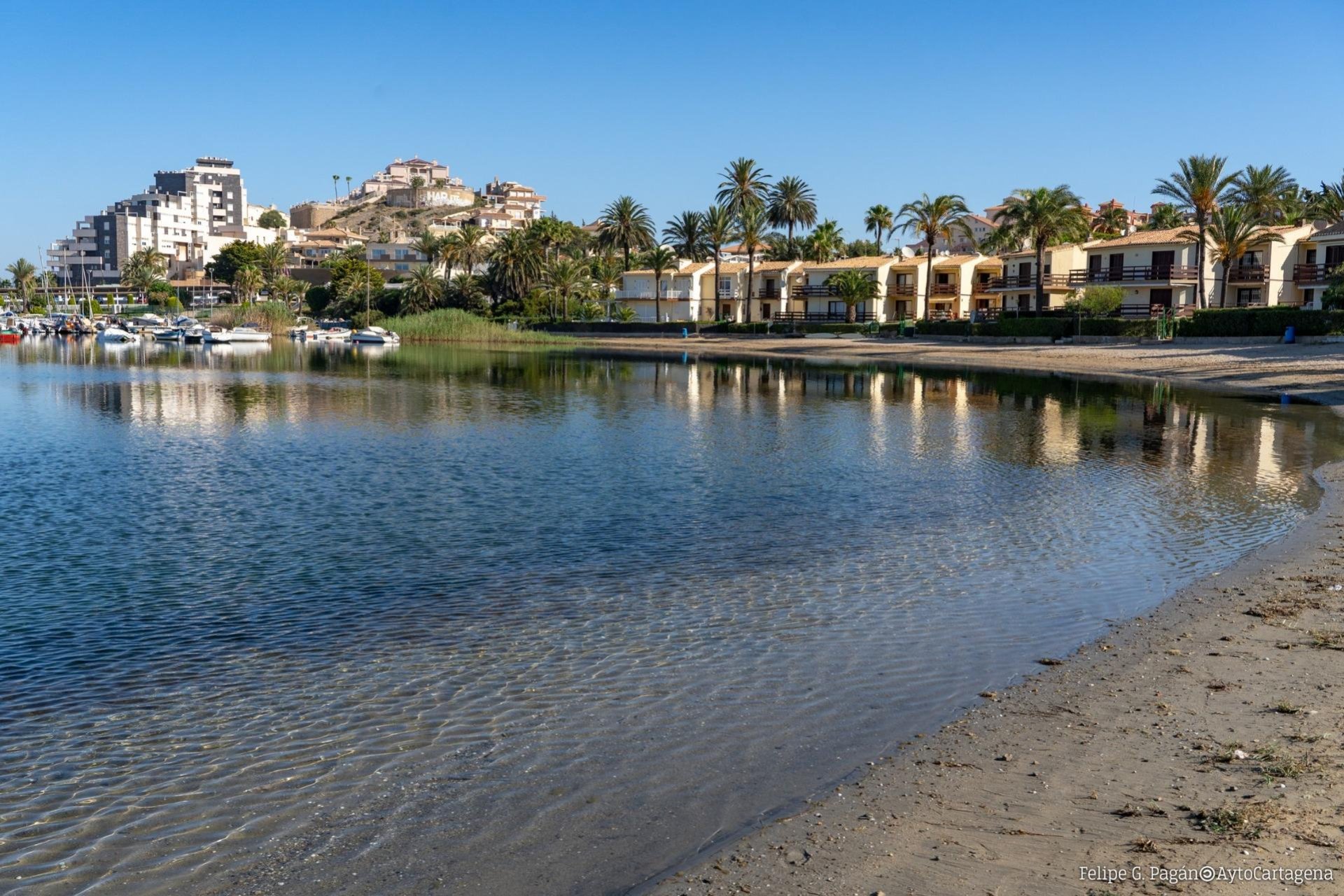 Obra nueva - Bungalow -
La Manga Club
