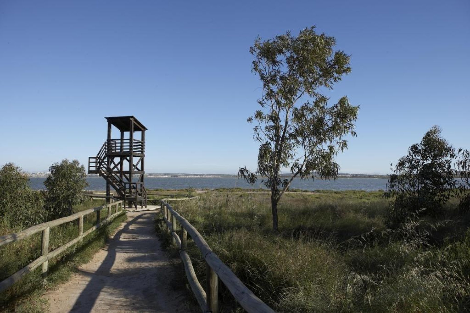 Obra nueva - Bungalow -
Torrevieja - Aguas Nuevas