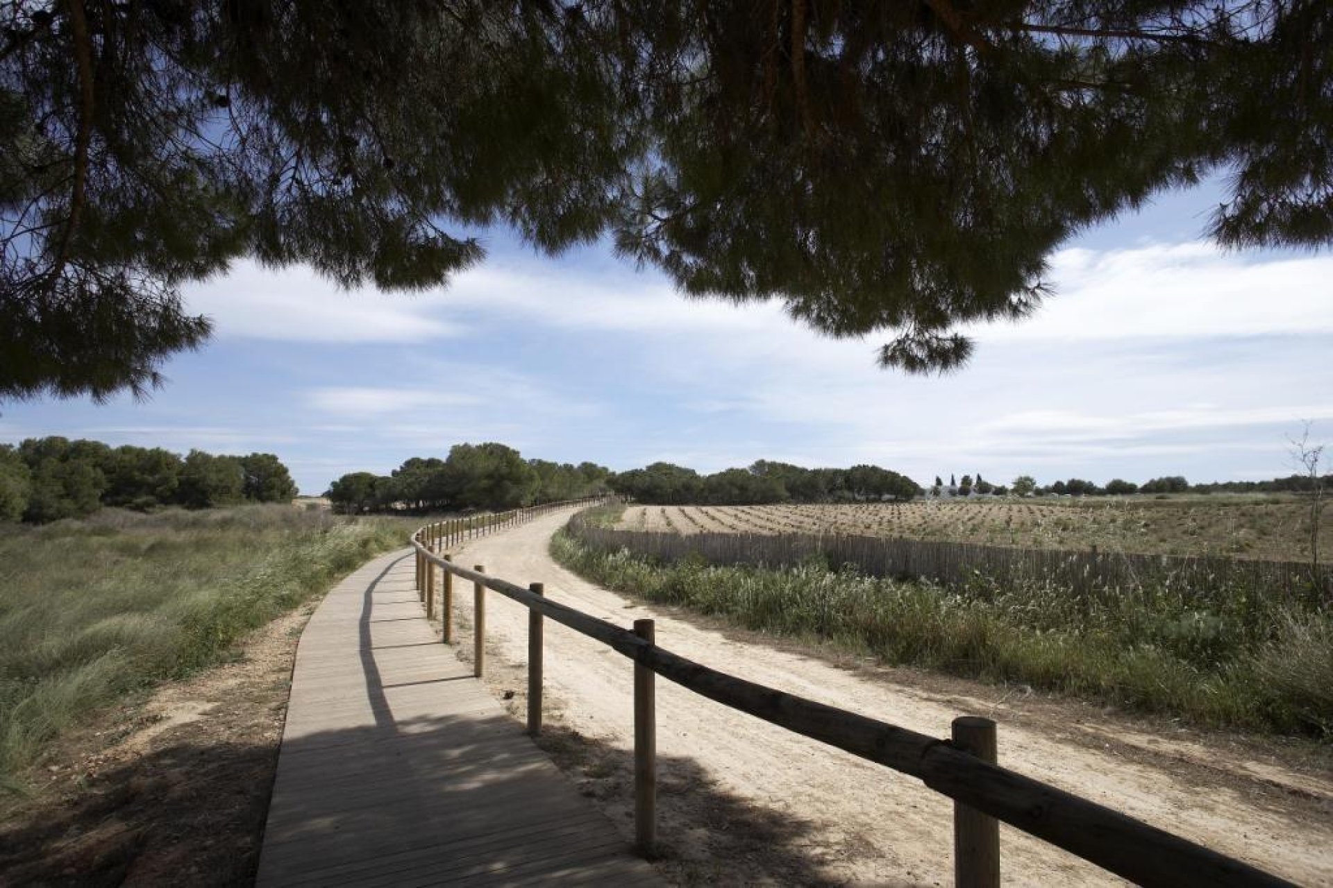 Obra nueva - Town House -
Torrevieja - Aguas Nuevas