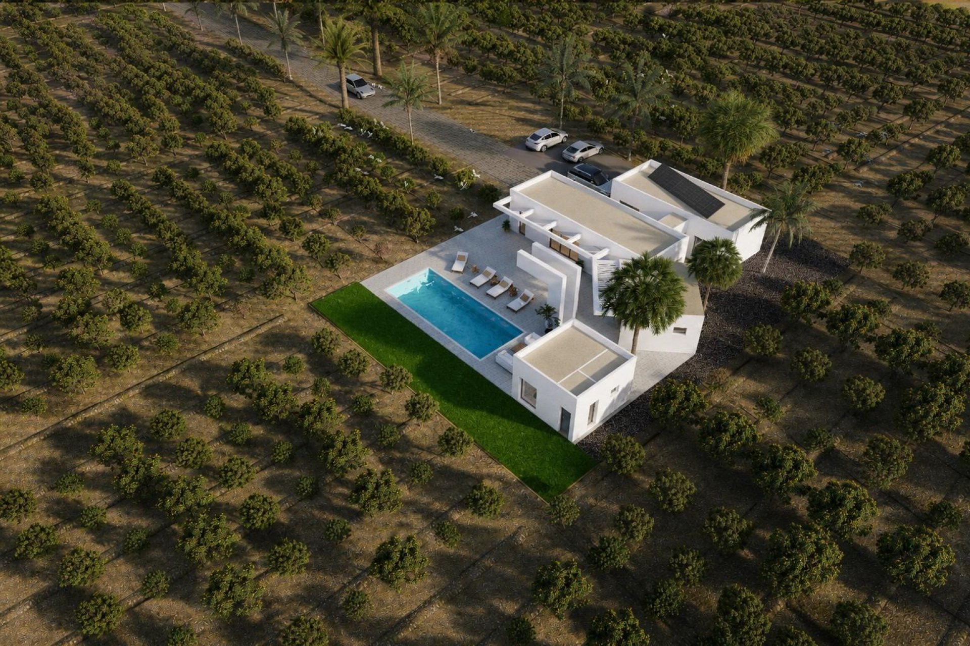 Obra nueva - Villa -
Benejúzar - alta