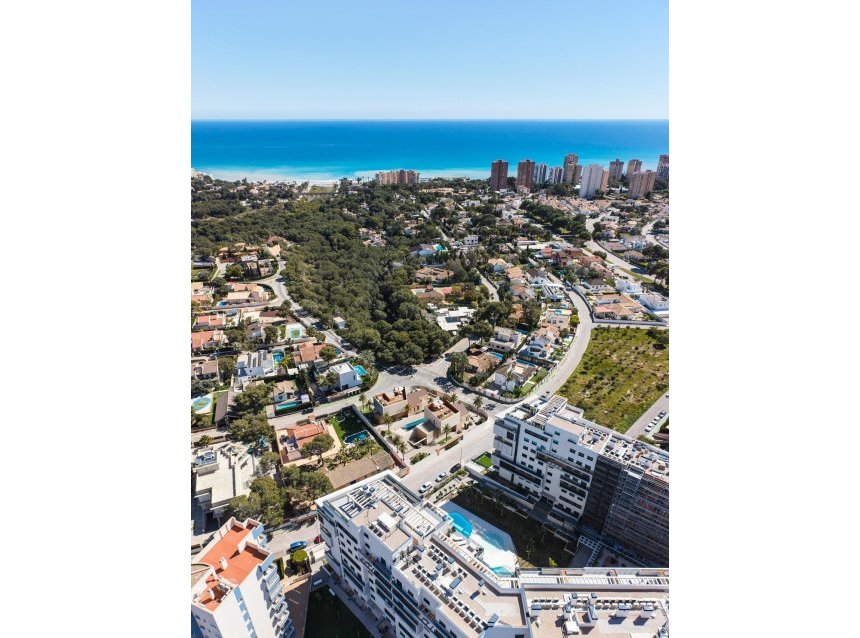 Obra nueva - Villa -
Orihuela Costa - Dehesa de campoamor