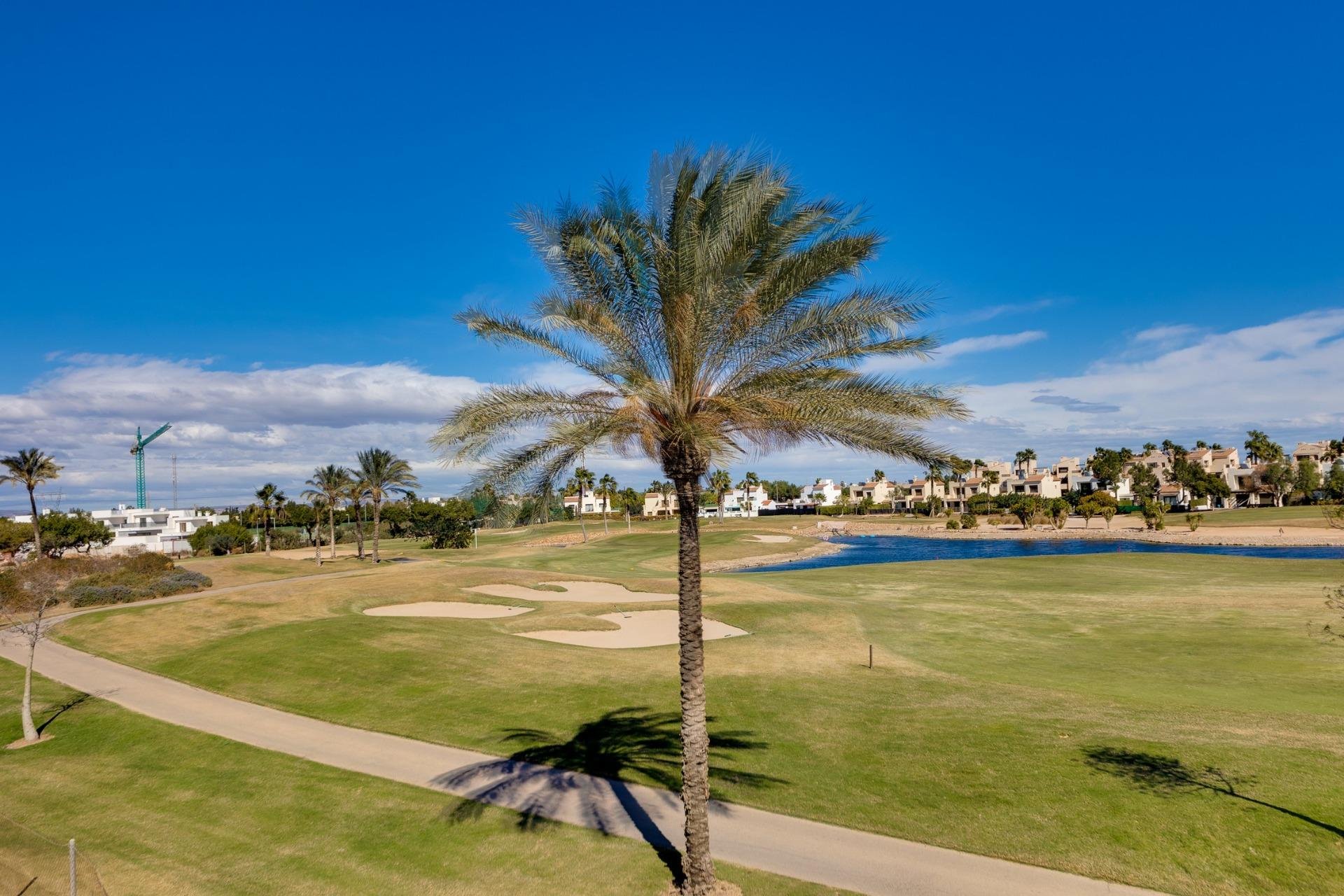 Obra nueva - Villa -
Pilar de la Horadada - Lo Romero Golf