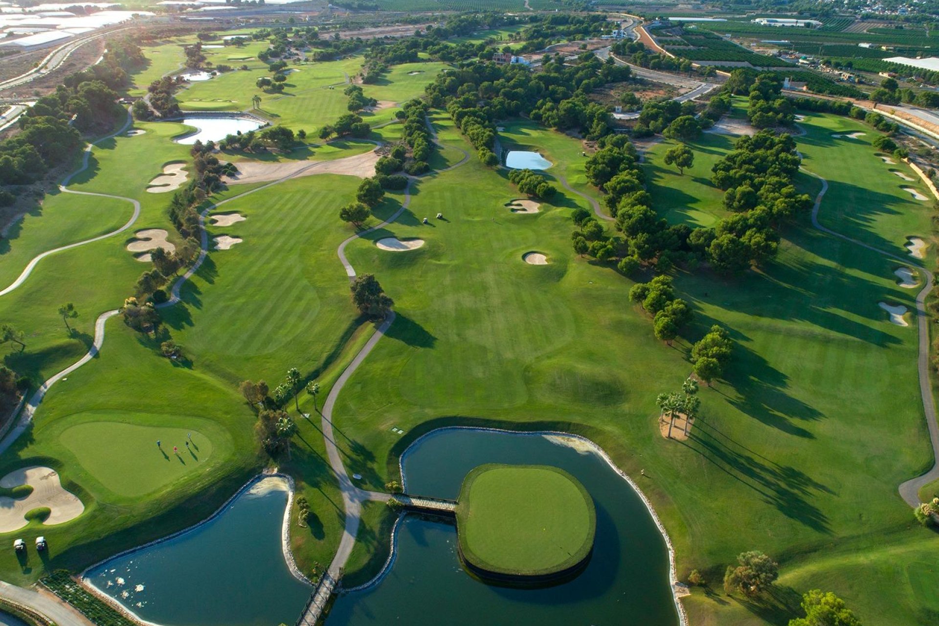 Obra nueva - Villa -
Pilar de la Horadada - Lo Romero Golf