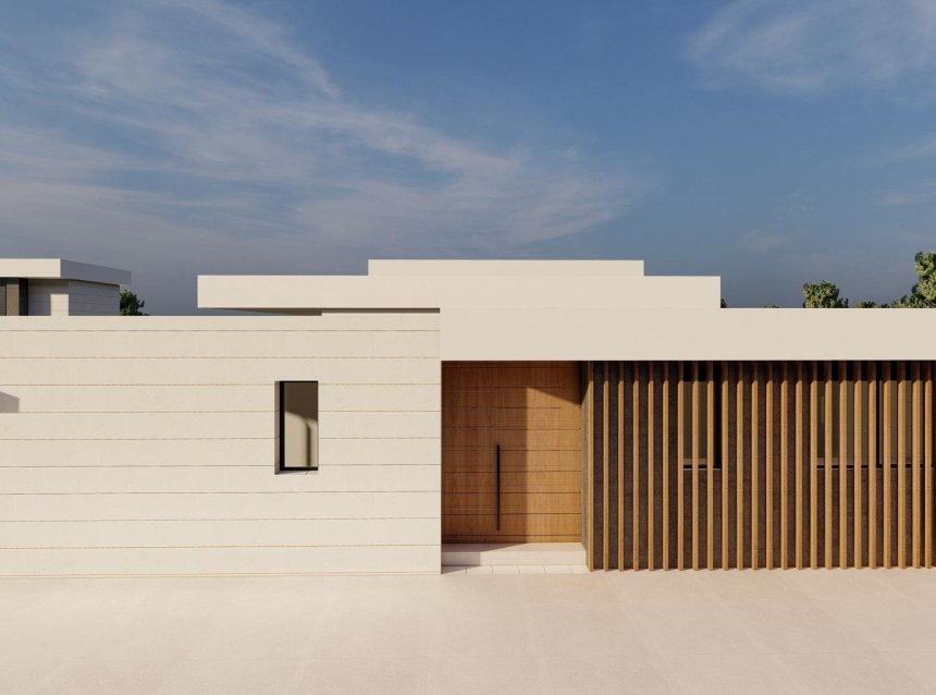 Obra nueva - Villa -
Pilar de la Horadada - pueblo