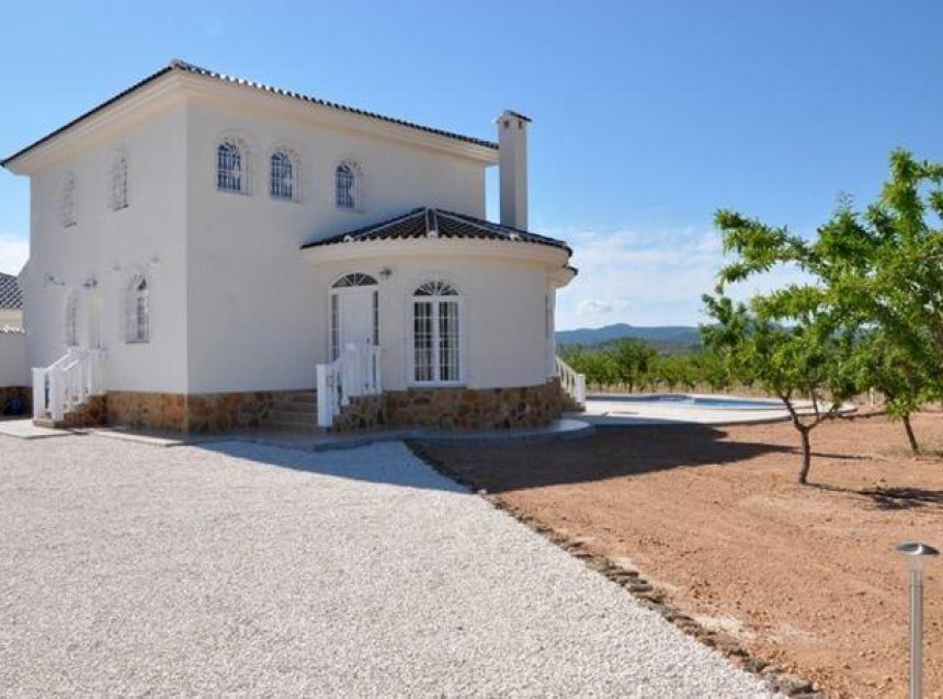 Obra nueva - Villa -
Pinoso - Campo