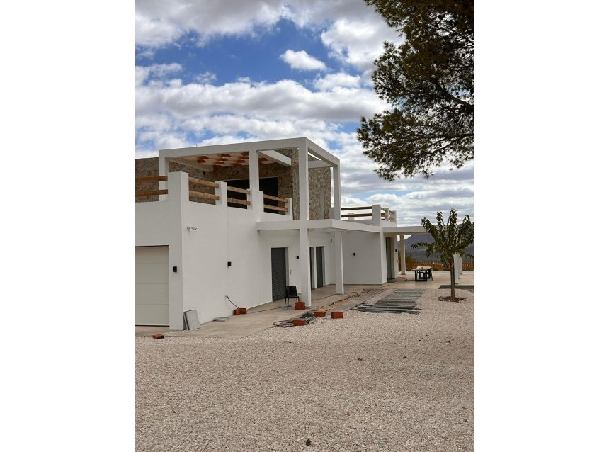 Obra nueva - Villa -
Pinoso - Casas Pastor