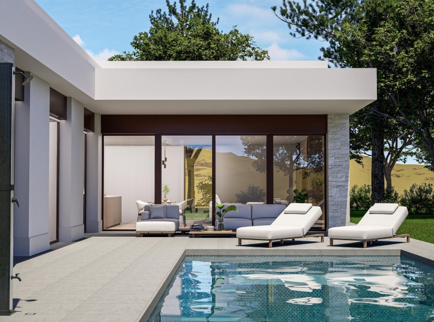 Obra nueva - Villa -
Pinoso - Lel