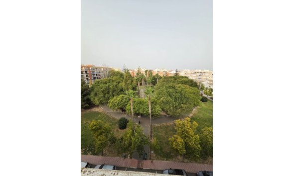 Penthouse - Resale - Torrevieja - Costa Blanca