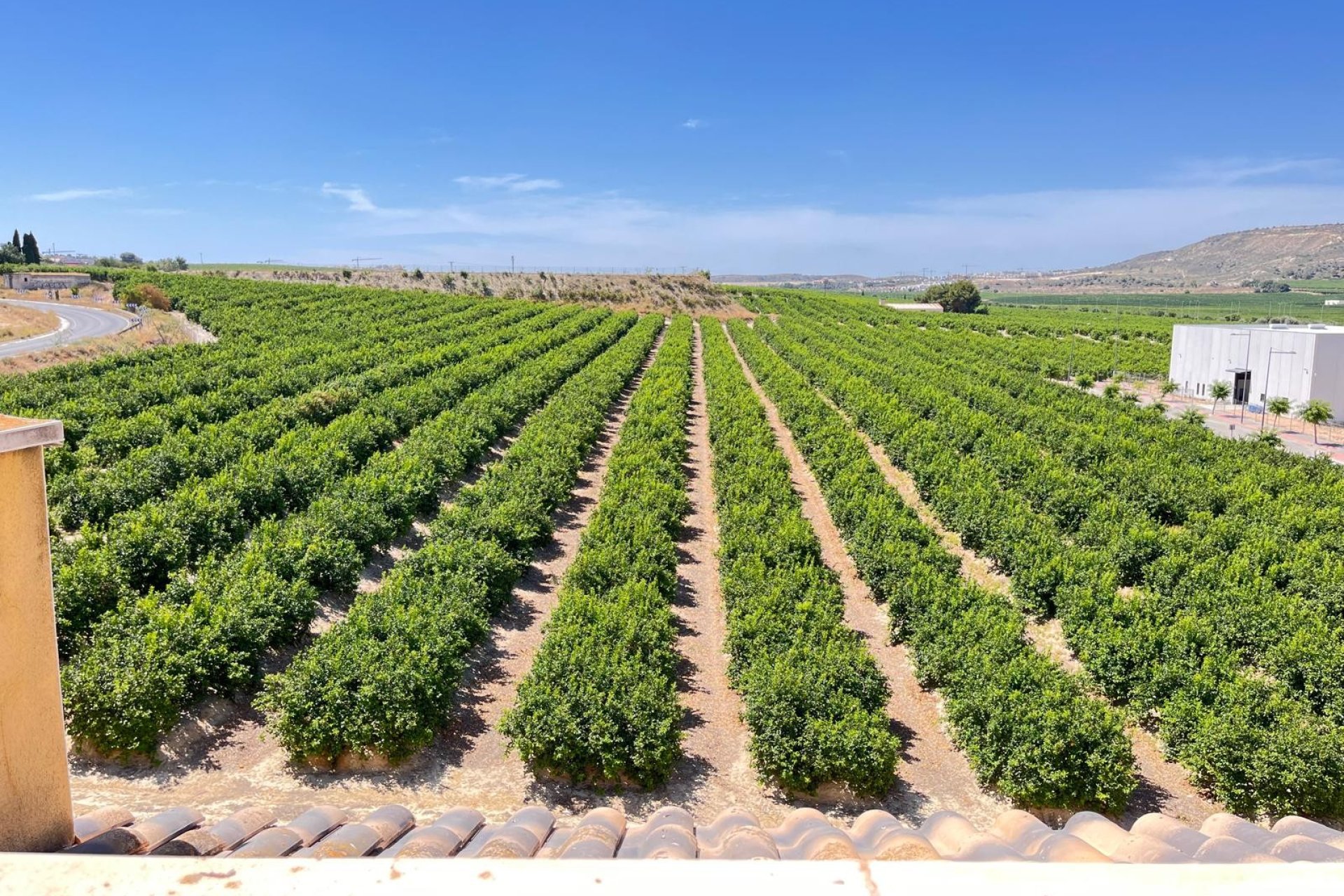 Resale - Apartment -
Algorfa - Inland