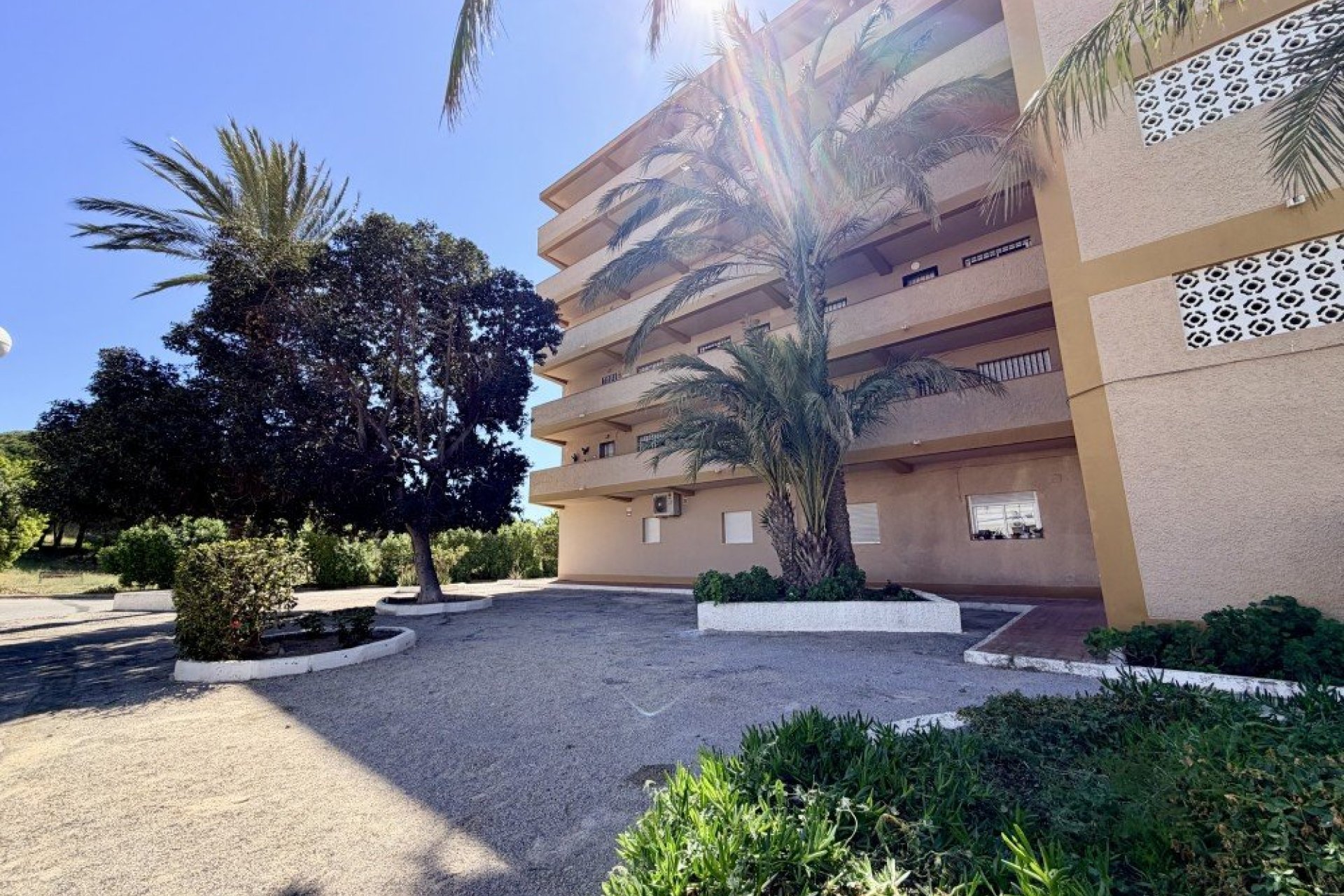 Resale - Apartment -
Guardamar del Segura - Costa Blanca
