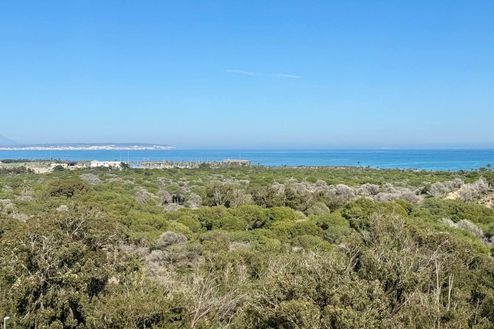 Resale - Apartment -
Guardamar del Segura - Puerto