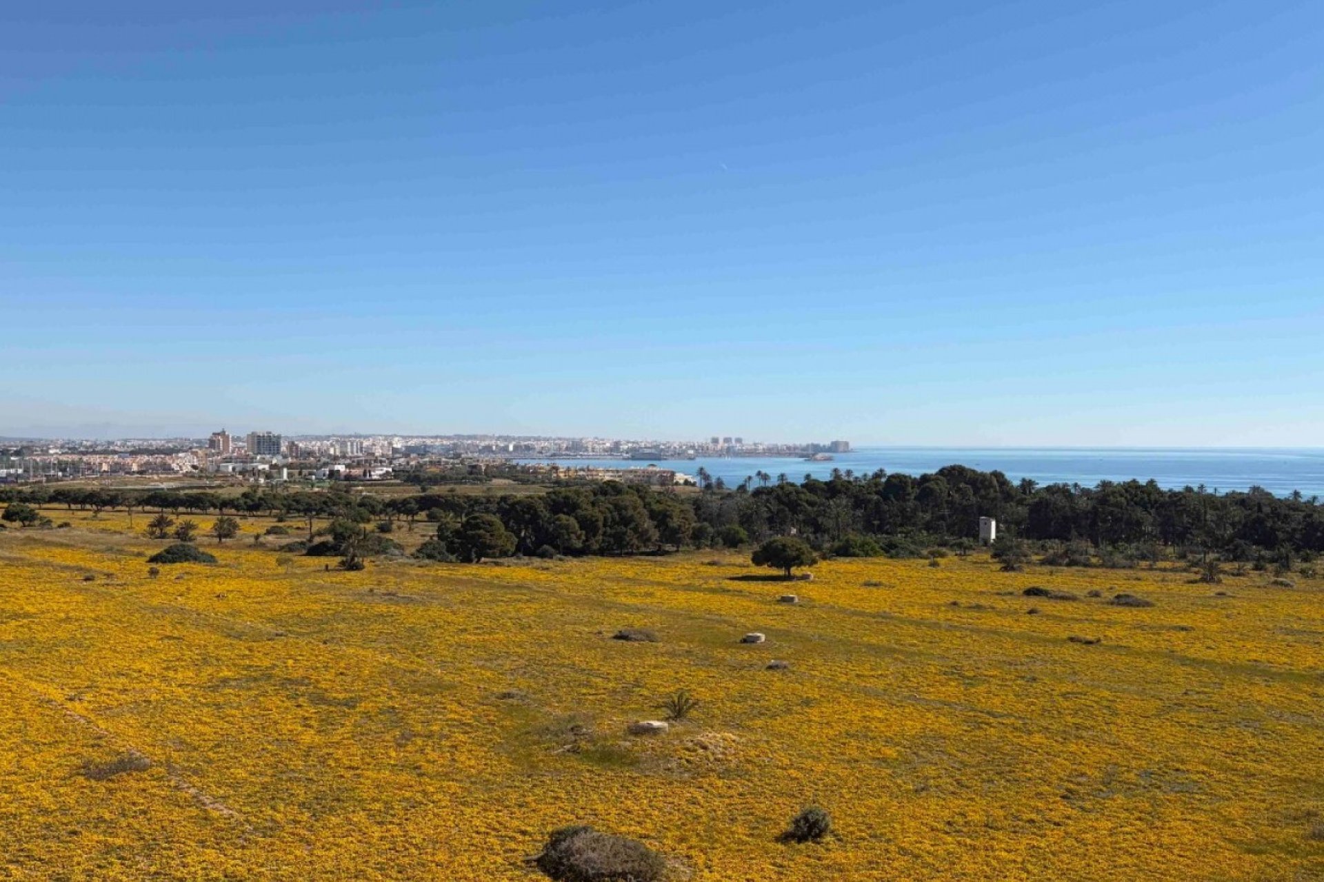 Resale - Apartment -
Orihuela Costa - Costa Blanca