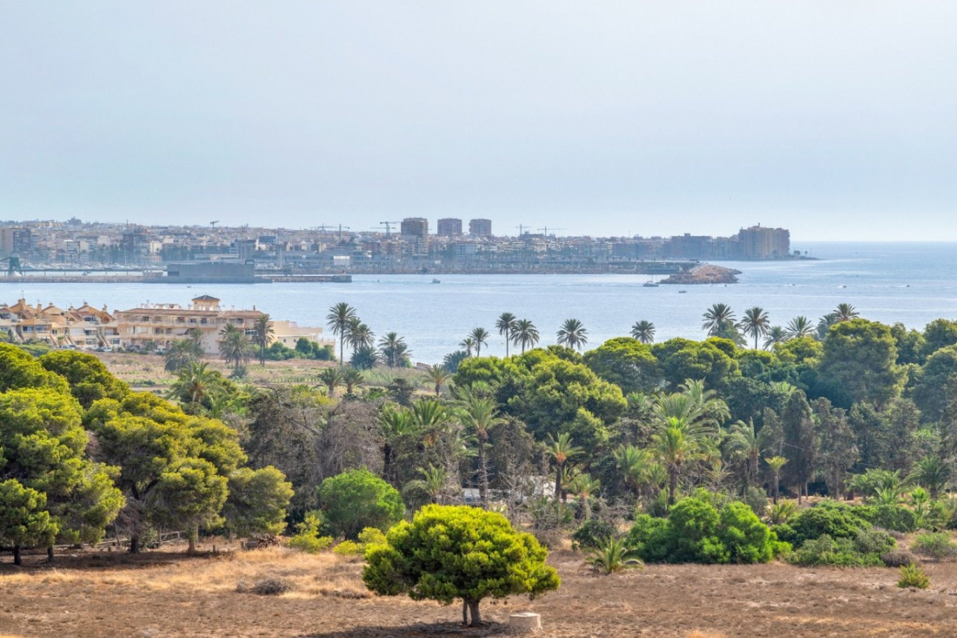Resale - Apartment -
Orihuela Costa - Costa Blanca