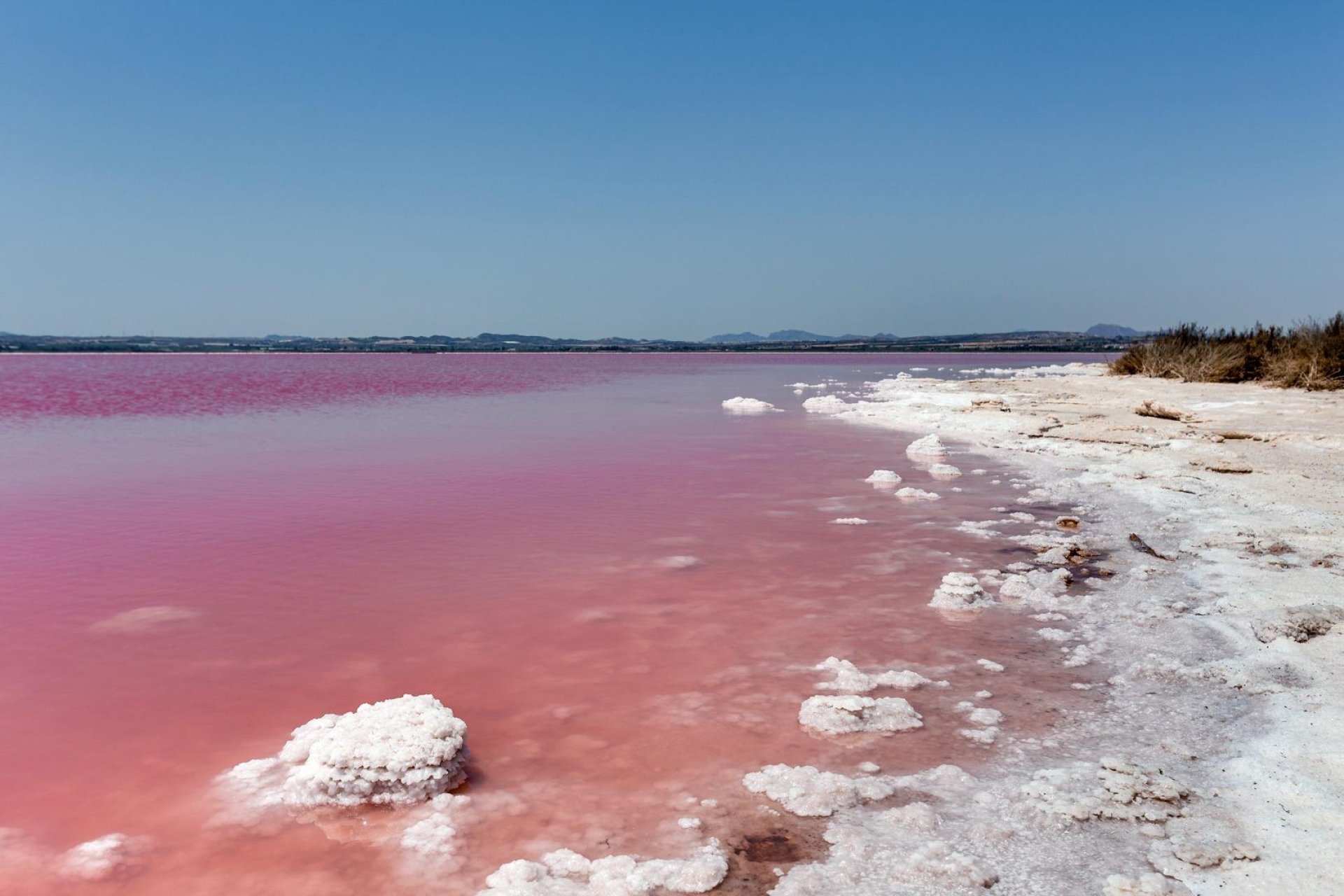 Resale - Apartment -
Torrevieja - Centro - Muelle Pesquero