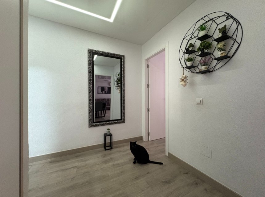 Resale - Apartment -
Torrevieja - Costa Blanca