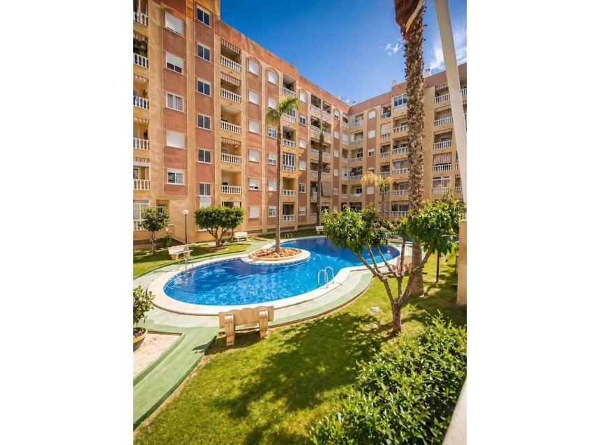 Resale - Apartment -
Torrevieja - Costa Blanca