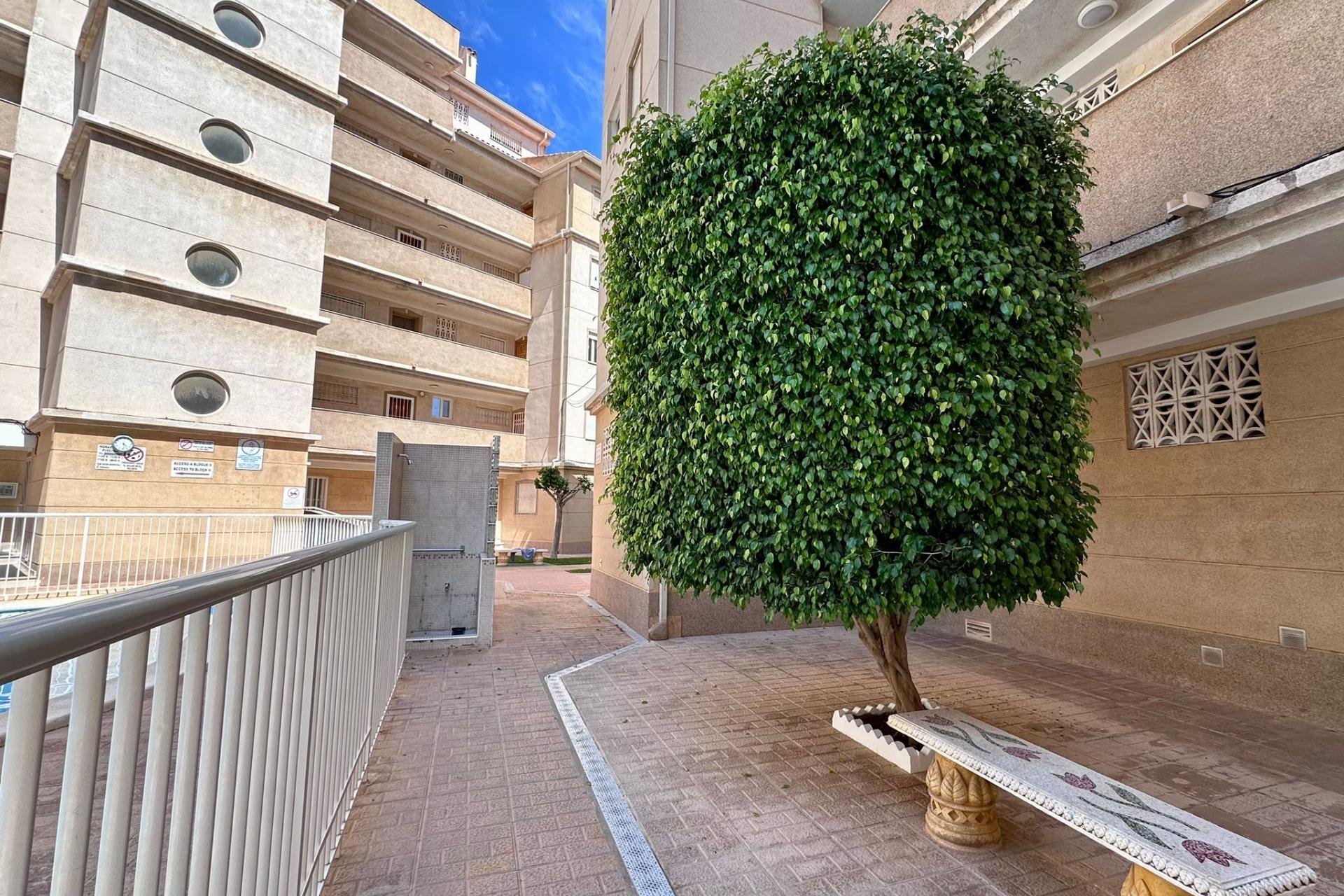 Resale - Apartment -
Torrevieja - Habaneras