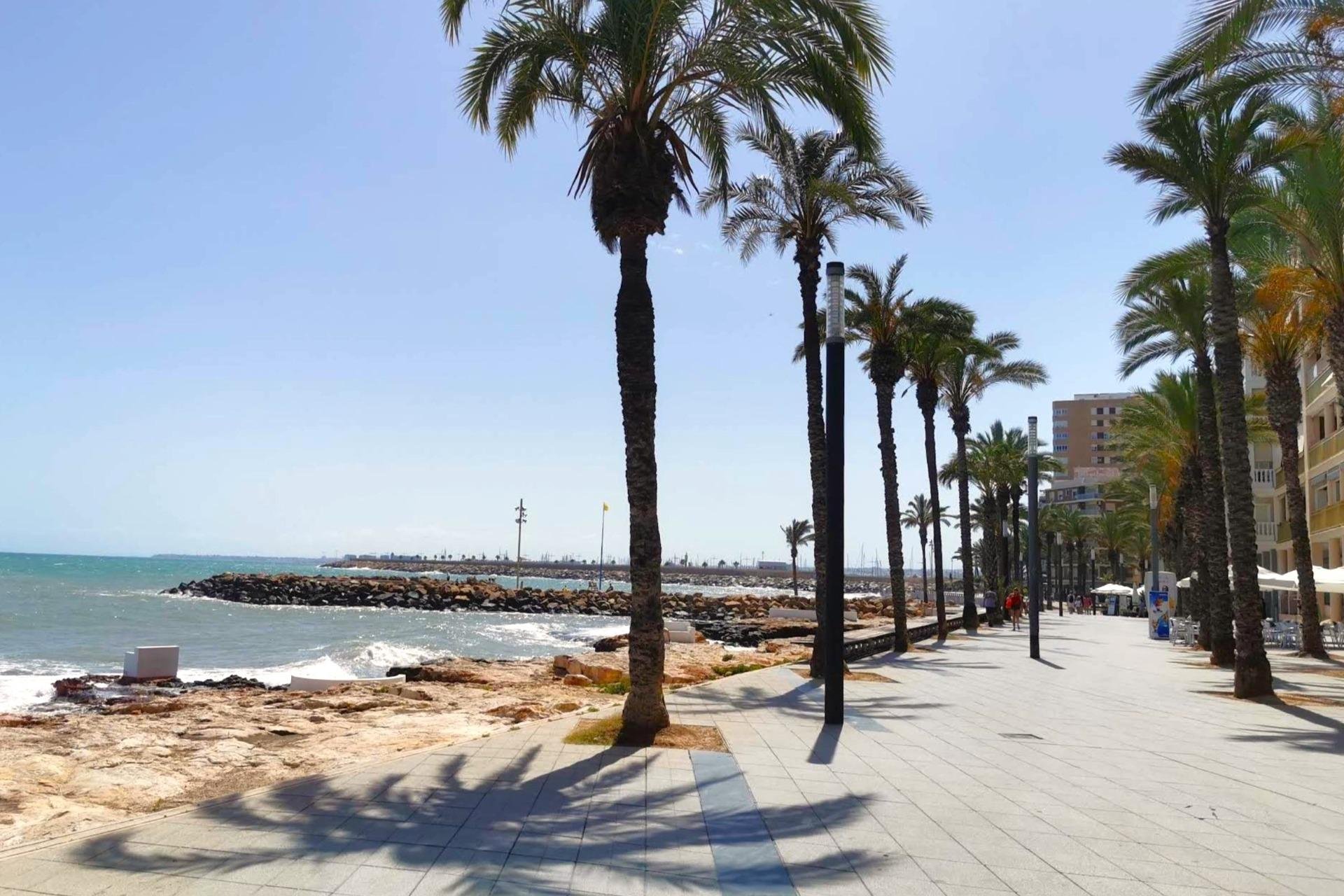 Resale - Apartment -
Torrevieja - Paseo Maritimo