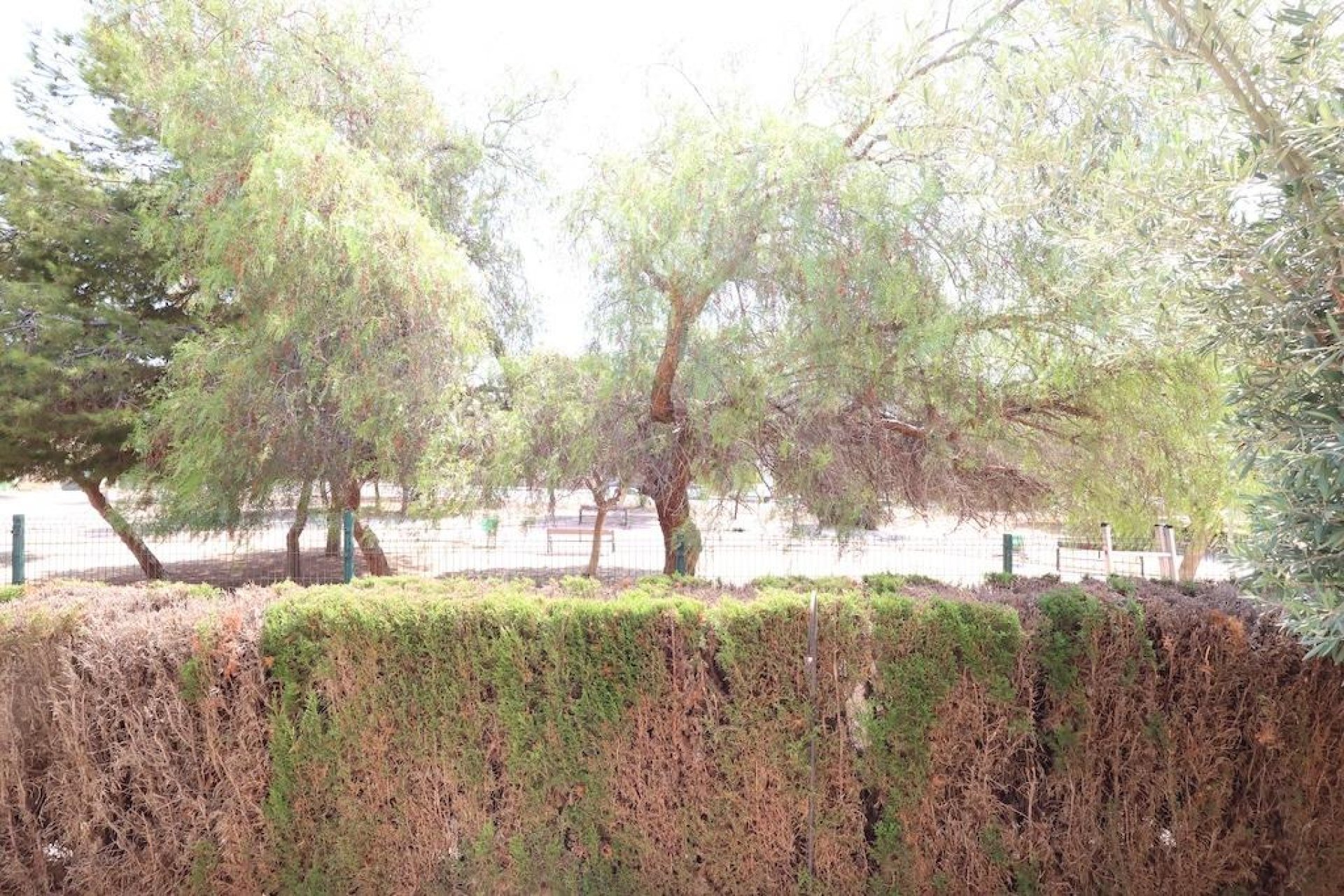 Resale - Bungalow -
Orihuela Costa - Costa Blanca