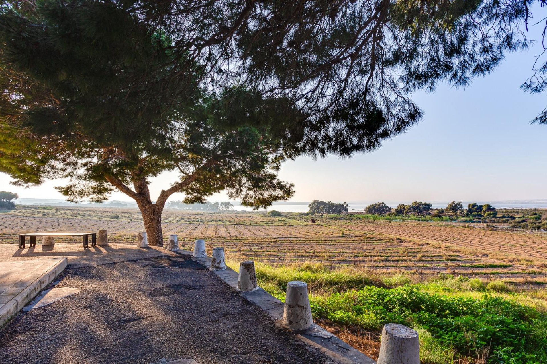 Resale - Bungalow -
Torrevieja - La Siesta - El Salado - Torreta