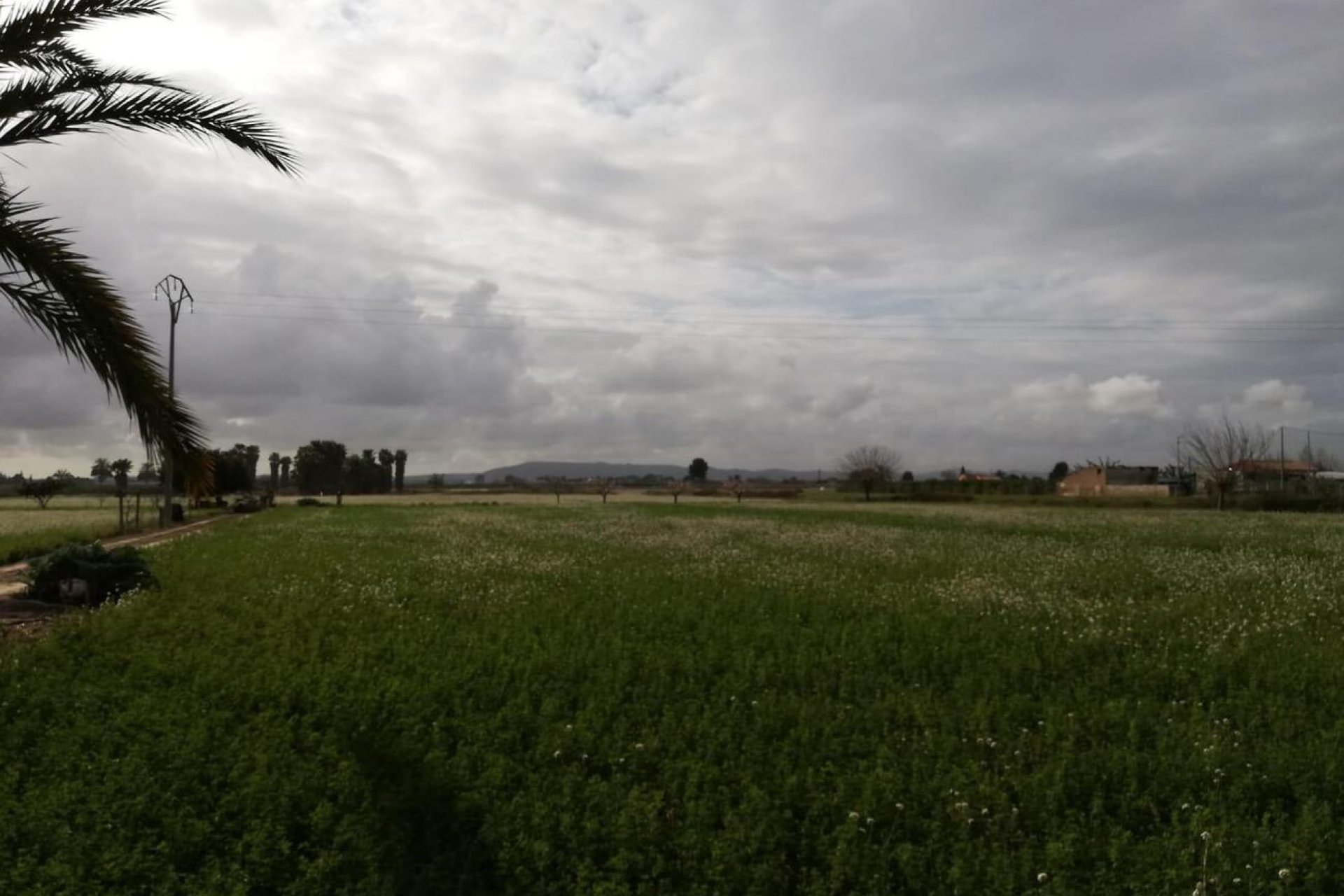 Resale - Finca -
Callosa de Segura - Costa Blanca