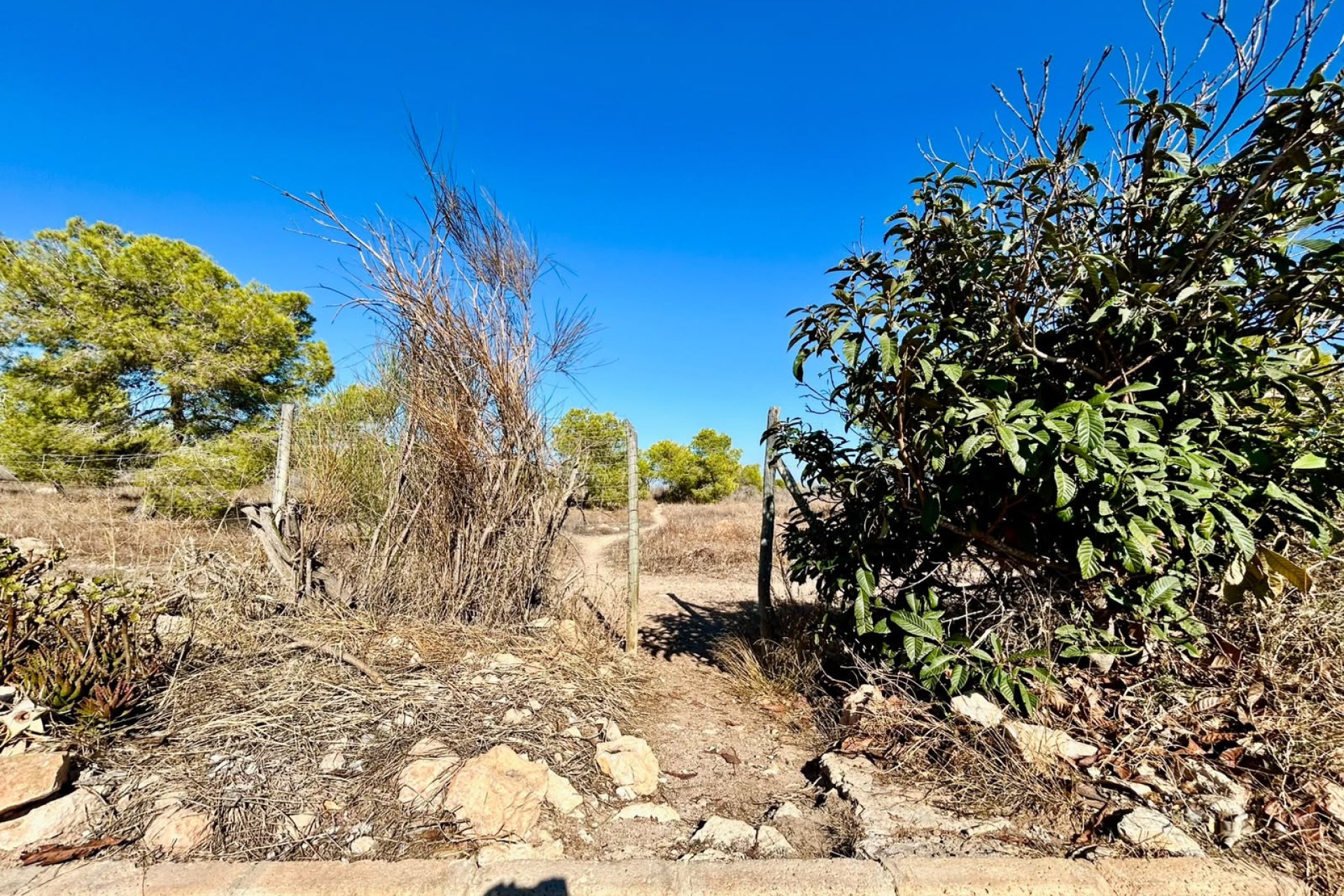 Resale - Town House -
Torrevieja - Costa Blanca
