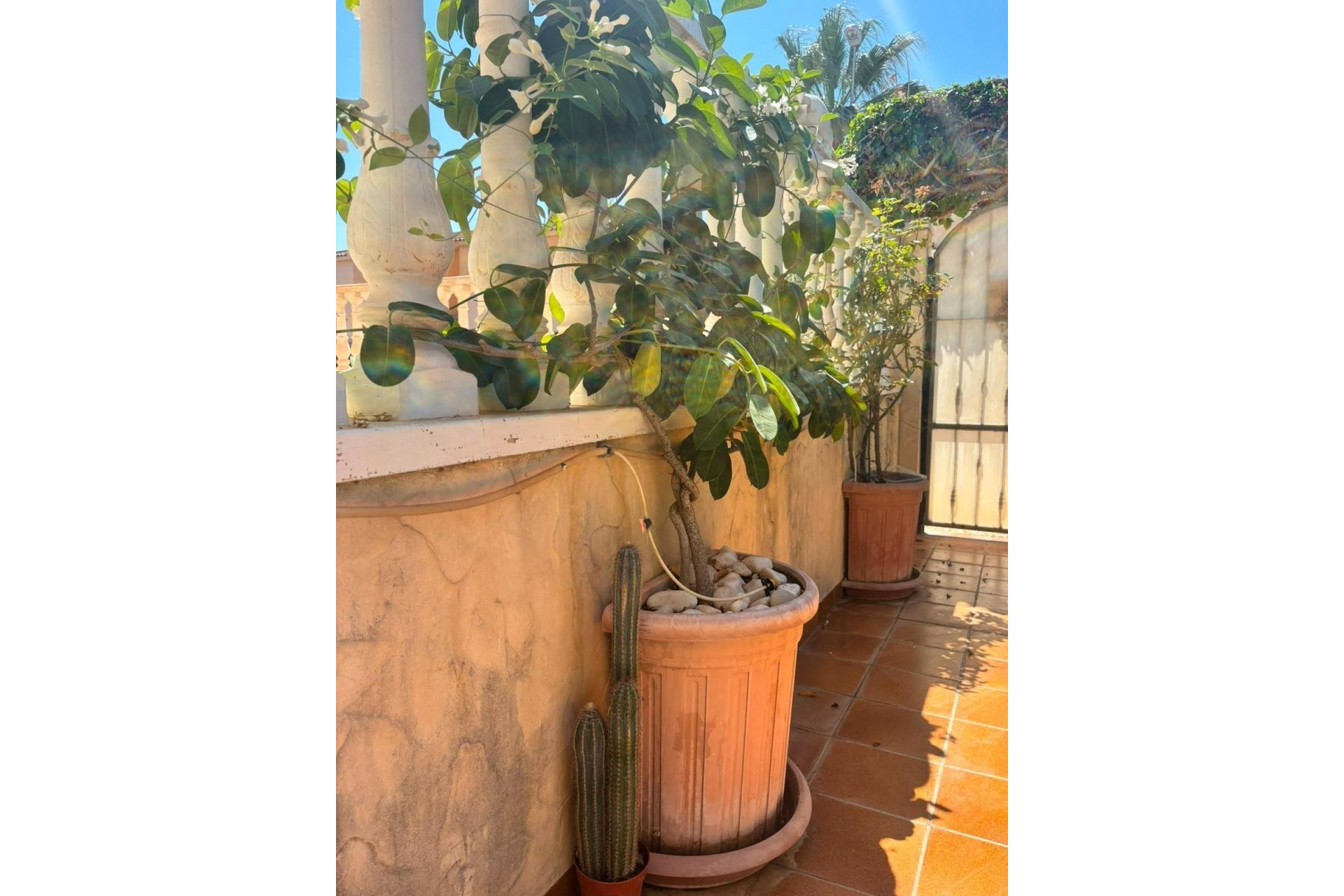 Resale - Villa -
Orihuela Costa - Lomas de Cabo Roig