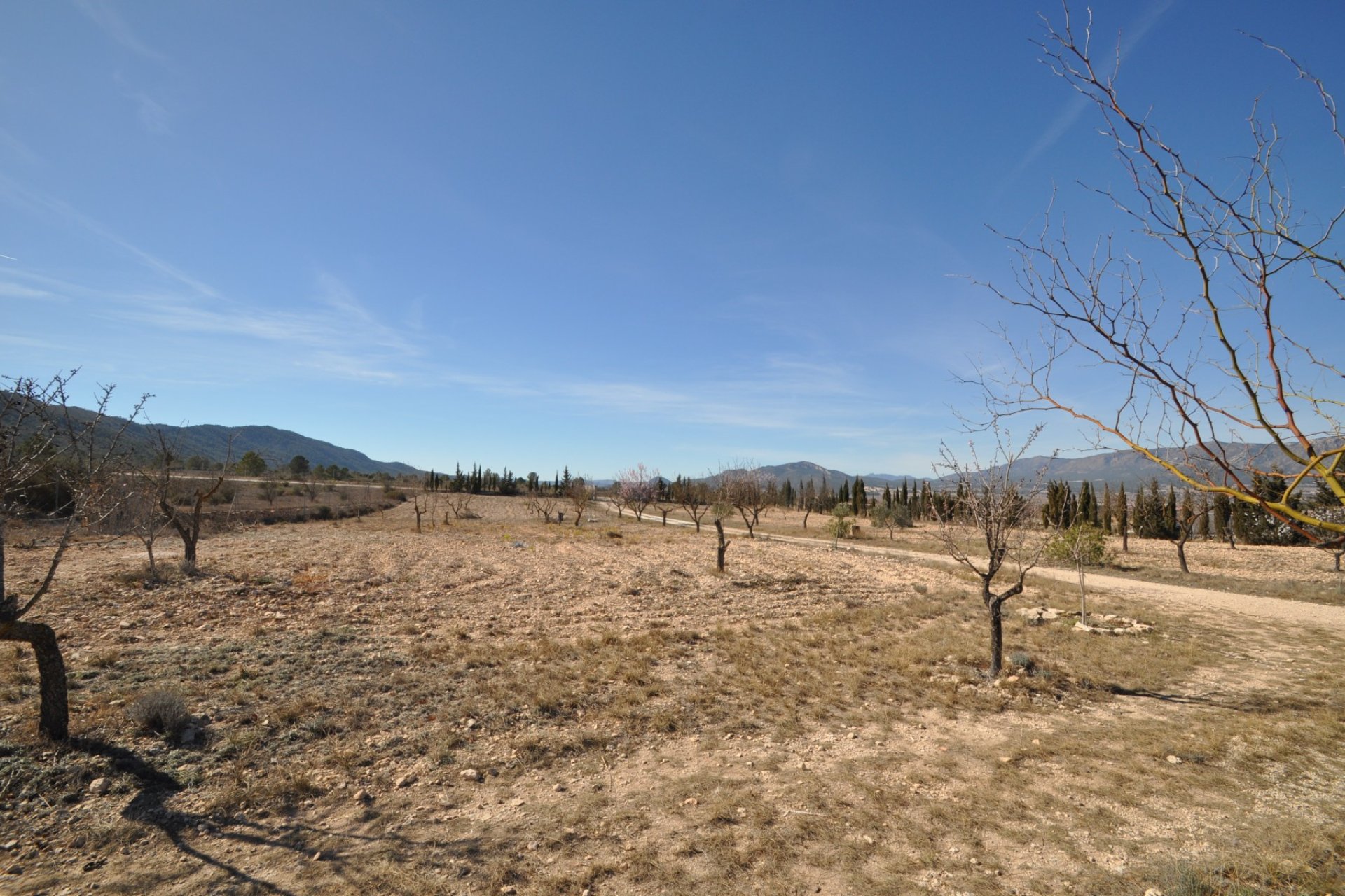 Resale - Villa -
Salinas - Inland