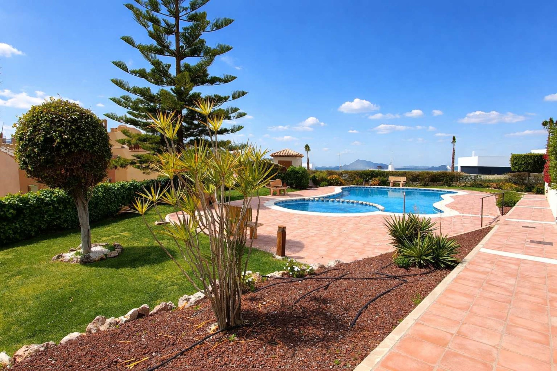 Reventa - Apartment -
Algorfa - Inland
