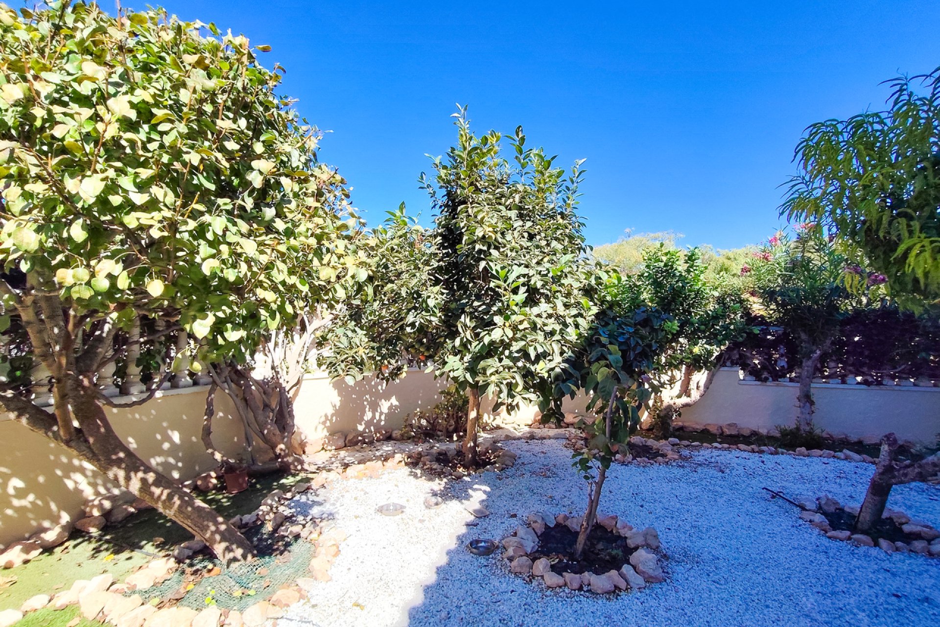 Reventa - Apartment -
Cabo Roig - Costa Blanca