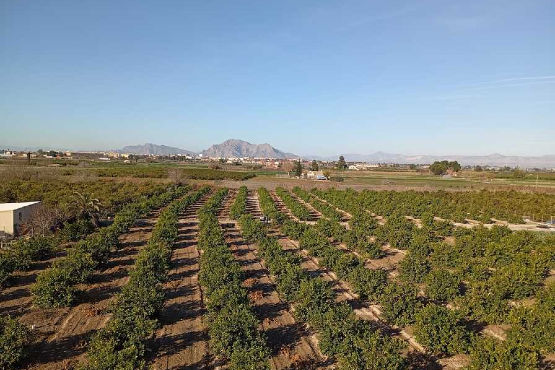 Reventa - Apartment -
Daya Nueva - Costa Blanca